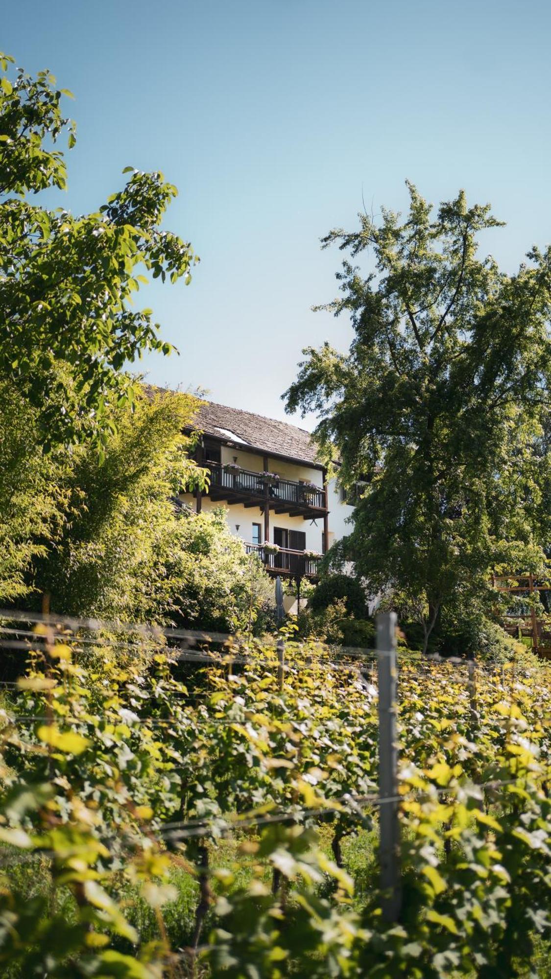 B&B Unterhabsbergerhof Appiano Sulla Strada Del Vino Exterior foto